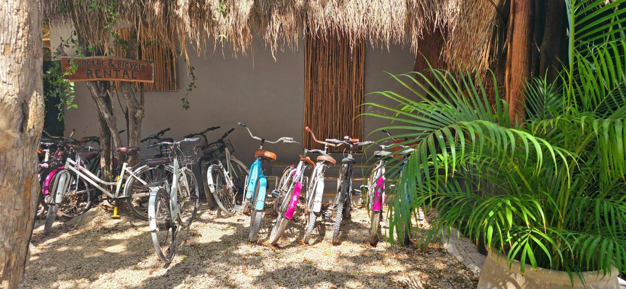 Hotel Kin Tulum Jungle Deluxe Екстер'єр фото