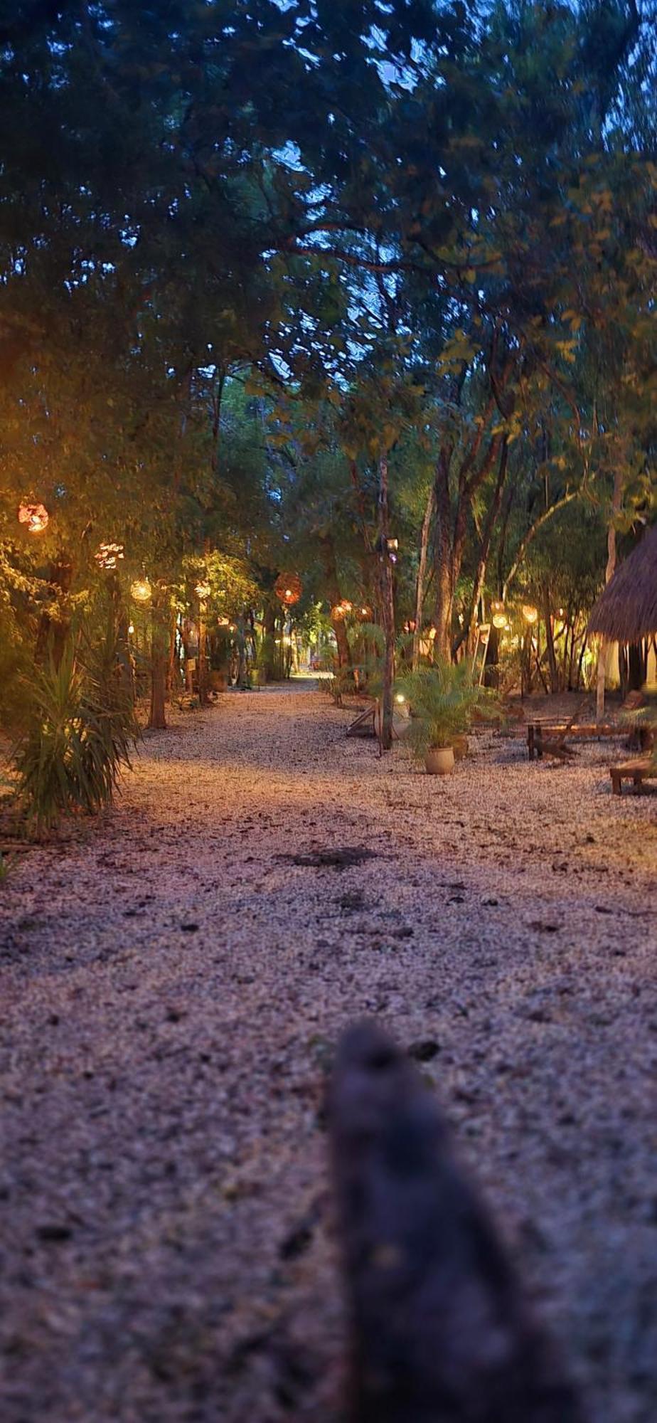 Hotel Kin Tulum Jungle Deluxe Екстер'єр фото